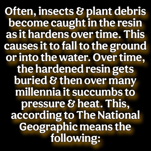 🧡 Learn About Amber 💛 - Picture 4 of 16